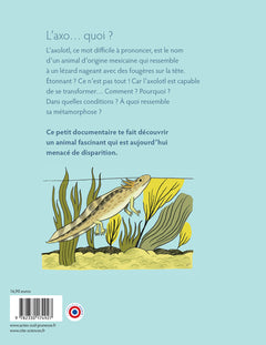 L'axolotl, les secrets d'une métamorphose