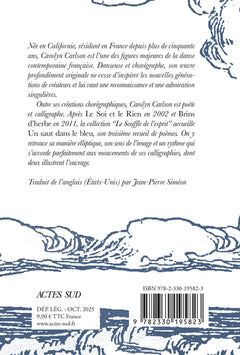 Un saut dans le bleu