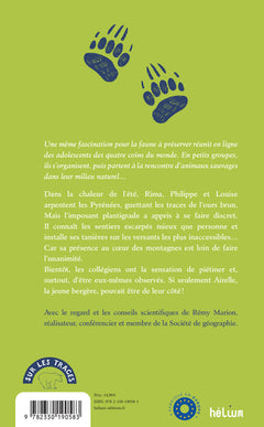 Mélèze, l'ours brun