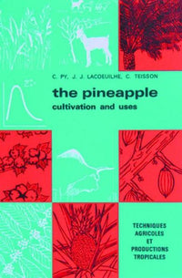 L'ananas