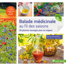 Balade médicinale au fil des saisons