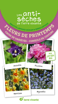 Fleurs de printemps