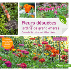 Fleurs désuètes des jardins de grand-mères