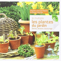 Je multiplie les plantes au jardin