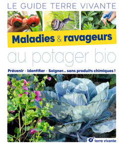 Maladies et ravageurs au potager bio