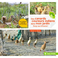 Des canards coureurs indiens dans mon jardin