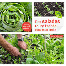 Des salades toute l'année dans mon jardin