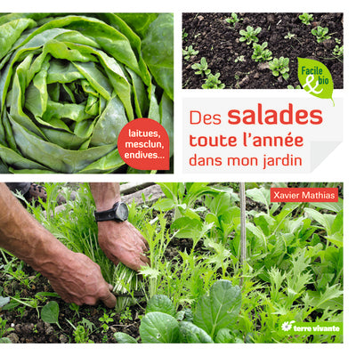 Des salades toute l'année dans mon jardin