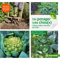 Un potager très choux(x): Cabus, kales, brocolis, pe-tsai ...