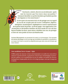 A la rencontre des insectes du potager