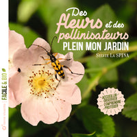 Des fleurs et des pollinisateurs plein mon jardin