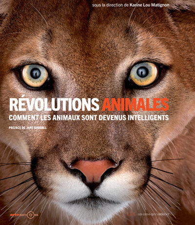 Révolutions animales: Comment les animaux sont devenus intelligents