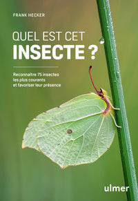 Quel est cet insecte ?