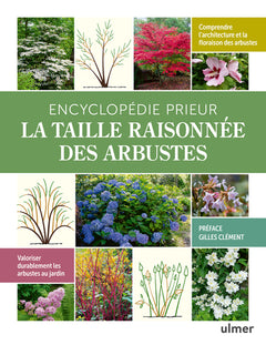 La taille raisonnée des arbustes