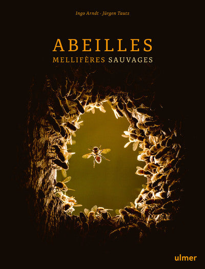 abeilles mellifères sauvages