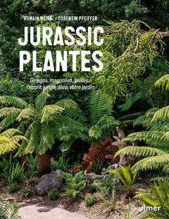 Jurassic Plantes - Ginkgos, magnolias, prêles... l'esprit jungle dans votre jardin