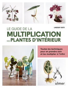 Le guide de la multiplication des plantes d'intérieur