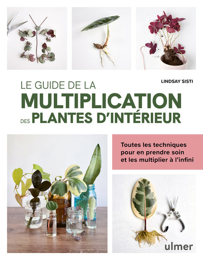 Le guide de la multiplication des plantes d'intérieur