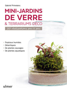 Mini-jardins de verre & terrariums déco