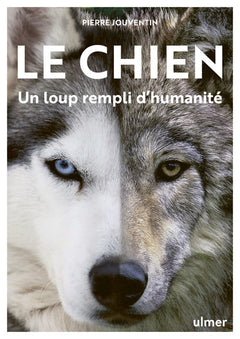 Le Chien, un loup rempli d'humanité