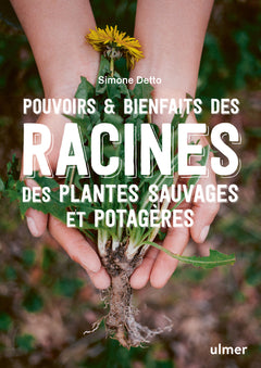 Pouvoirs & bienfaits des racines des plantes sauvages et potagères