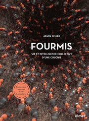 Fourmis