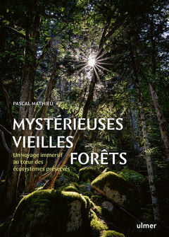 Mystérieuses vieilles forêts - Un voyage immersif au coeur des écosystèmes préservés