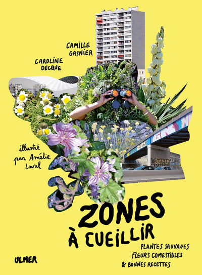 Zones à cueillir