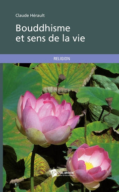 Bouddhisme et sens de la vie