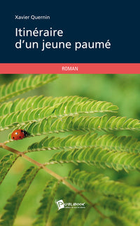 Itinéraire d'un jeune paumé