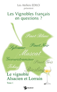Les Vignobles français en questions