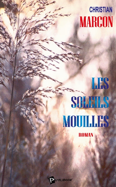 Les soleils mouillés