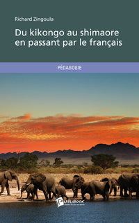 Du kikongo au shimaore en passant par le français