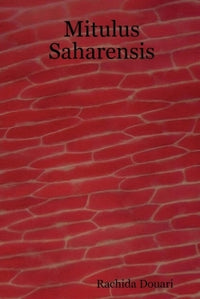 Mitulus Saharensis