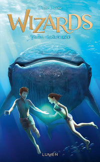 Wizards - Tome 2 Le Sacrifice