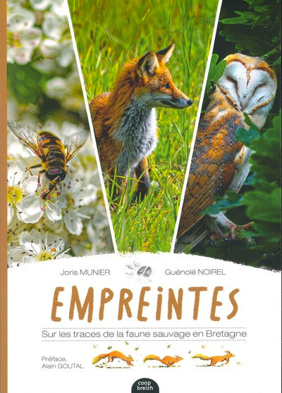empreintes - sur les traces de la faune sauvage en bretagne