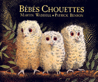 Bébés Chouettes
