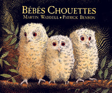 Bébés chouettes