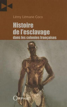 Histoire de l'esclavage dans les colonies françaises : Histoire des diasporas
