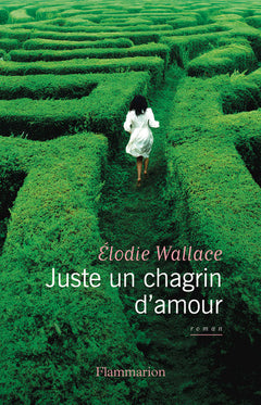 Juste un chagrin d'amour