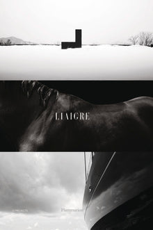 Liaigre : 12 Projects