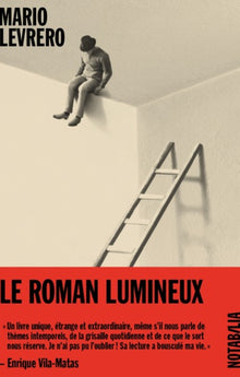 Le roman lumineux