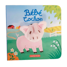 Bébé cochon