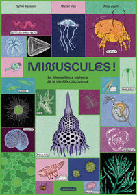 Minuscules !