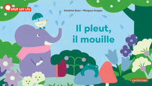 Il pleut, il mouille