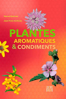 Plantes aromatiques & condiments