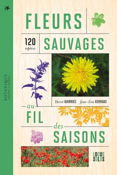 Fleurs sauvages au fil des saisons: 120 espèces