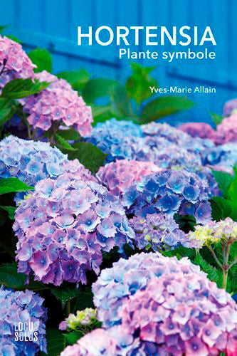 Hortensia, plante symbole