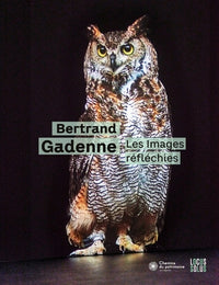 Les images réfléchies