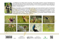 Rencontres animalières, dialogue avec la libellule